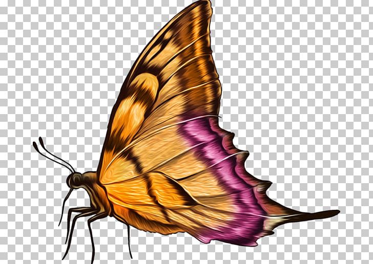 Monarch Butterfly Pieridae Moth PNG, Clipart, Arthropod, Blue, Brush Footed Butterfly, Color, Encapsulated Postscript Free PNG Download