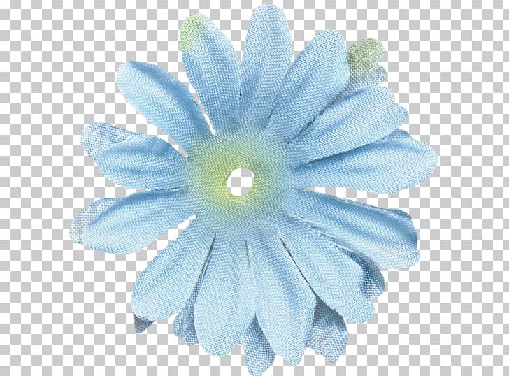 Transvaal Daisy Petal PNG, Clipart, Blue, Daisy, Daisy Family, Flower, Flowering Plant Free PNG Download