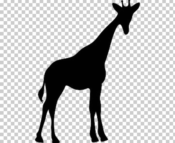 Giraffe Silhouette PNG, Clipart, Animals, Art, Black And White, Download, Fauna Free PNG Download