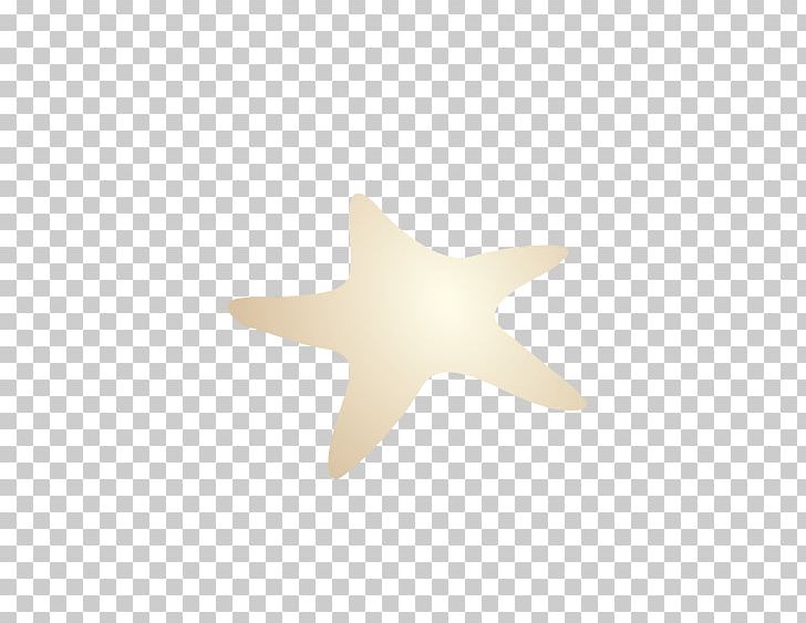 Starfish Beige PNG, Clipart, Animals, Beige, Computer, Computer Wallpaper, Gift Free PNG Download