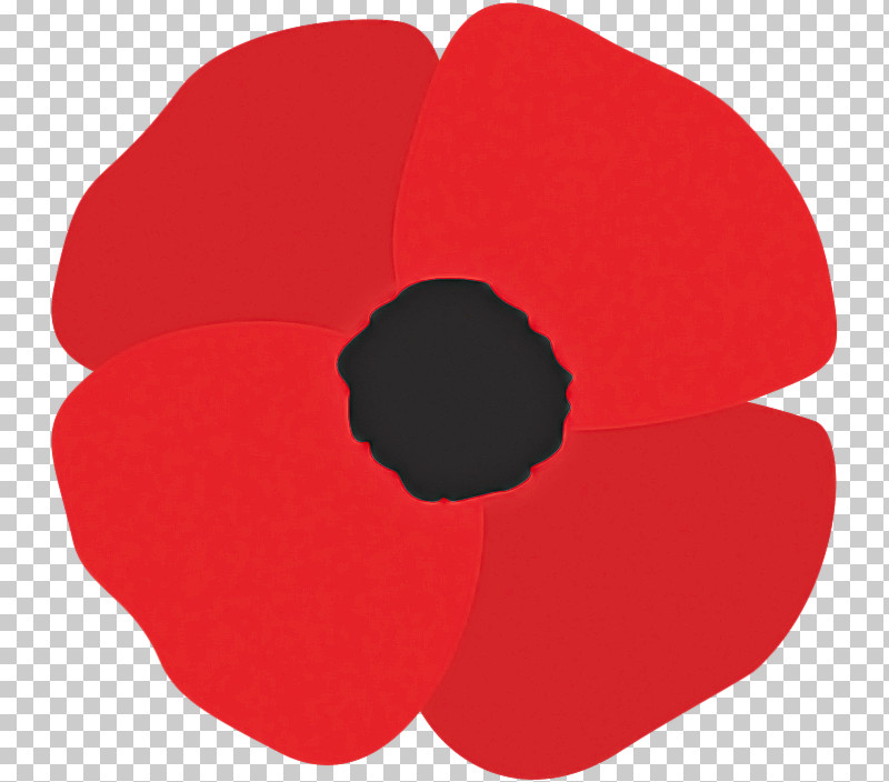 Red Petal Poppy Coquelicot Poppy Family PNG, Clipart, Anemone, Carmine ...