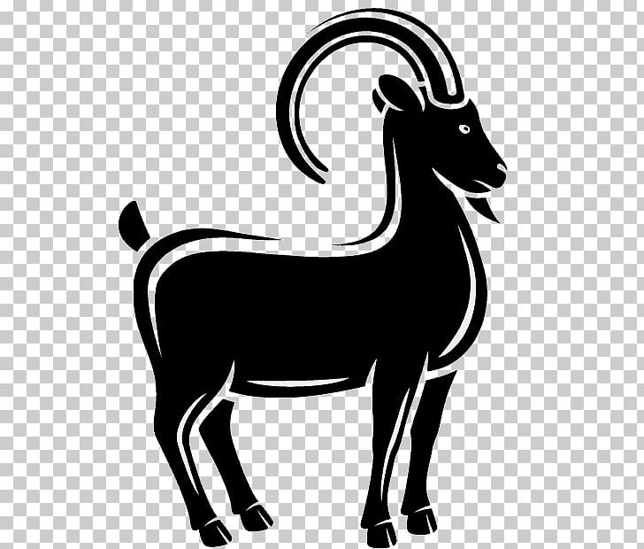 Boer Goat Sheep Caprinae PNG, Clipart, Animals, Black And White, Boer Goat, Cattle, Cattle Like Mammal Free PNG Download