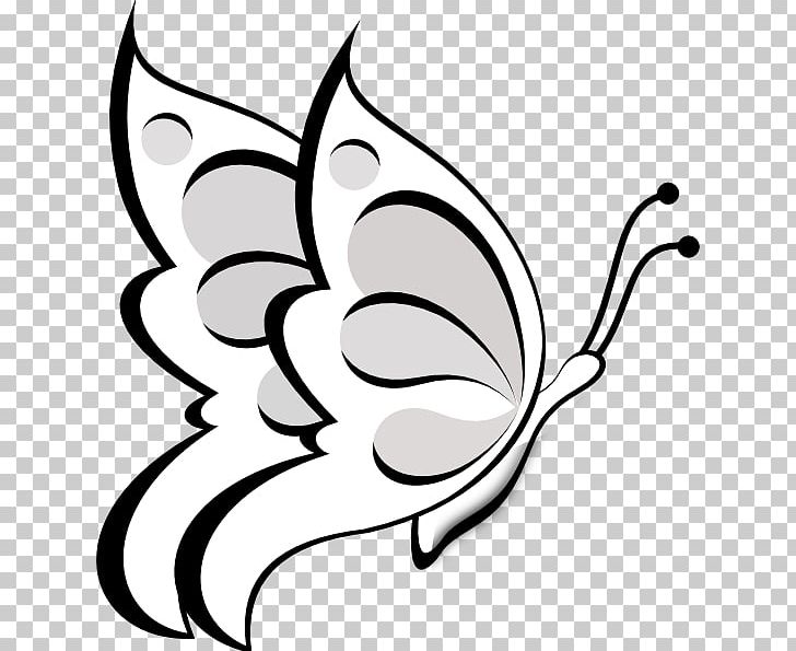 Butterfly Papillon Dog Free Content PNG, Clipart, Beak, Black, Black And White, Branch, Face Free PNG Download