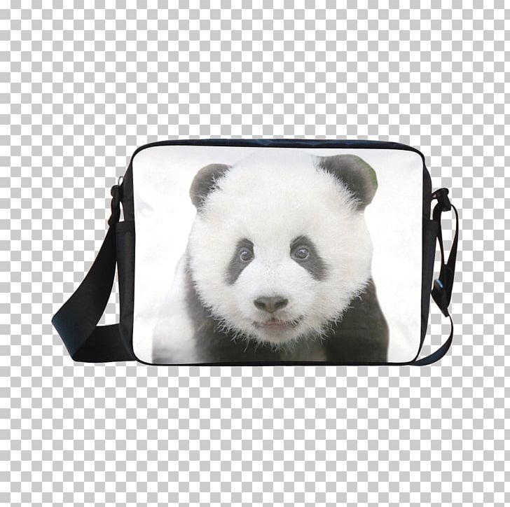 Giant Panda Bear Cushion T-shirt Throw Pillows PNG, Clipart, Bag, Bear, Blanket, Clothing, Cotton Free PNG Download