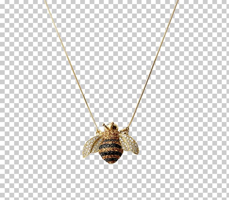 Locket Insect Necklace PNG, Clipart, Animals, Fashion Accessory, Insect, Jewellery, Locket Free PNG Download