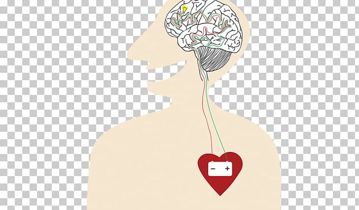 Shoulder Product Design Illustration Ear Neck PNG, Clipart, Brain, Ear, Heart, Human, Human Body Free PNG Download