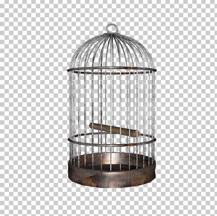 Lovebird Budgerigar Parrot Birdcage PNG, Clipart, Animal, Animals, Bird, Bird Cage, Birdcage Free PNG Download