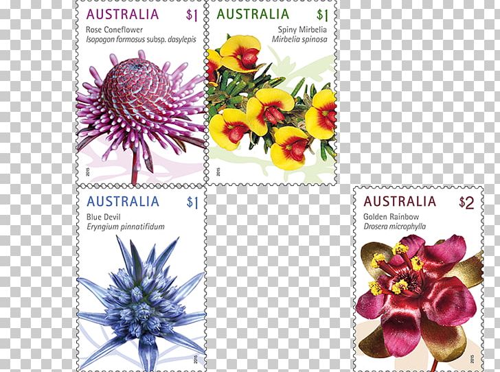 Postage Stamps Wildflower Australia Post Mail PNG, Clipart, Australia, Australia Post, Flora, Flower, Flowering Plant Free PNG Download