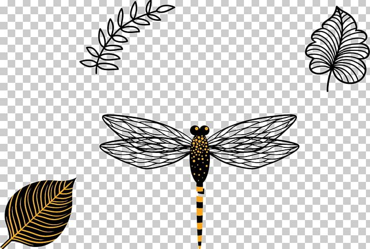 Butterfly Insect Wing Insect Wing Black And White PNG, Clipart, Black, Black And White, Drag, Dragonflies, Dragonfly Wings Free PNG Download