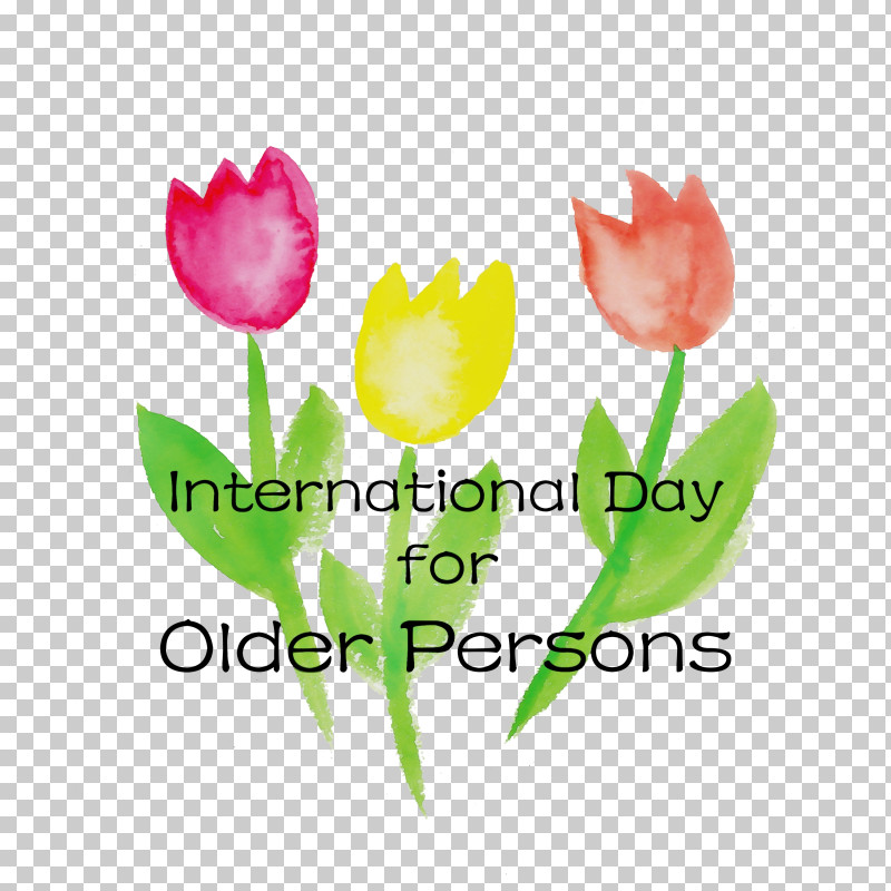 Plant Stem Tulip Lilies Petal Meter PNG, Clipart, Biology, Flower, International Day For Older Persons, Lilies, Lily Free PNG Download