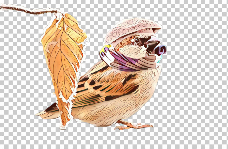 Feather PNG, Clipart, Beak, Bird, Feather, House Sparrow, Perching Bird Free PNG Download