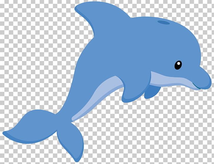 Porpoise Common Bottlenose Dolphin PNG, Clipart, Animals, Beak, Bottlenose Dolphin, Cetacea, Cuteness Free PNG Download