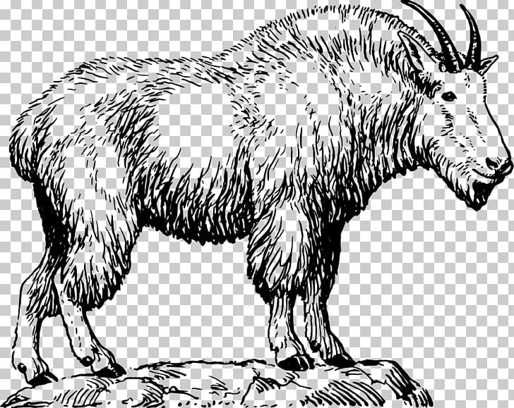 Pygmy Goat Nigerian Dwarf Goat Sheep Mountain Goat PNG, Clipart, Animal Figure, Animals, Black And White, Bovid, Cattle Like Mammal Free PNG Download