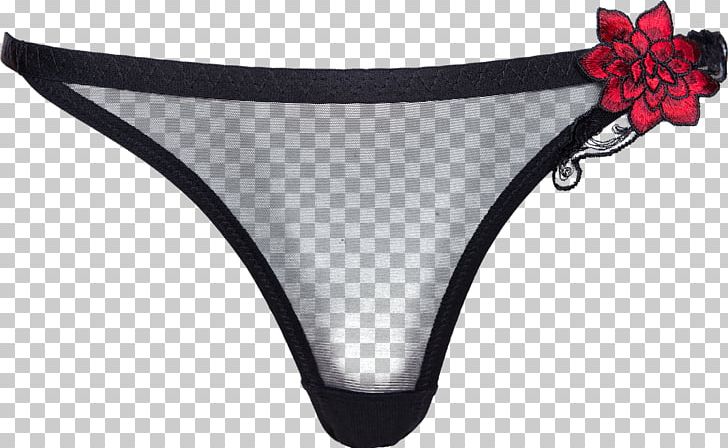 Thong Panties Swim Briefs Underpants Lingerie PNG, Clipart, Active Undergarment, Briefs, Clothing, Lingerie, Others Free PNG Download