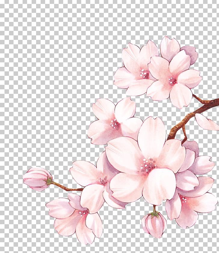 YouTube Food Blogging Time Tagged Snapchat PNG, Clipart, Blossom, Branch, Cherry Blossom, Cut Flowers, Film Free PNG Download
