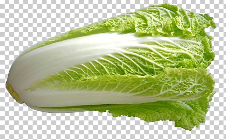 Chinese Cuisine Chinese Cabbage Vegetable Napa Cabbage PNG, Clipart, Brassica, Cabbage, Cauliflower, Chinese Cabbage, Chinese Cuisine Free PNG Download