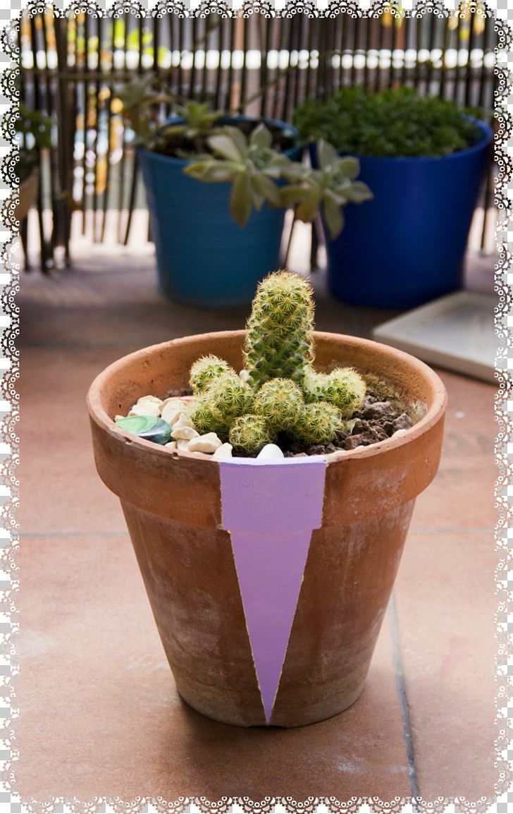 Flowerpot Citroën Cactus M Houseplant Herb PNG, Clipart, Cactus, Flowerpot, Herb, Houseplant, Others Free PNG Download