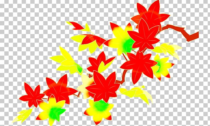 Maple Leaf Line Petal PNG, Clipart, Flower, Flowering Plant, Leaf, Line, Maple Free PNG Download