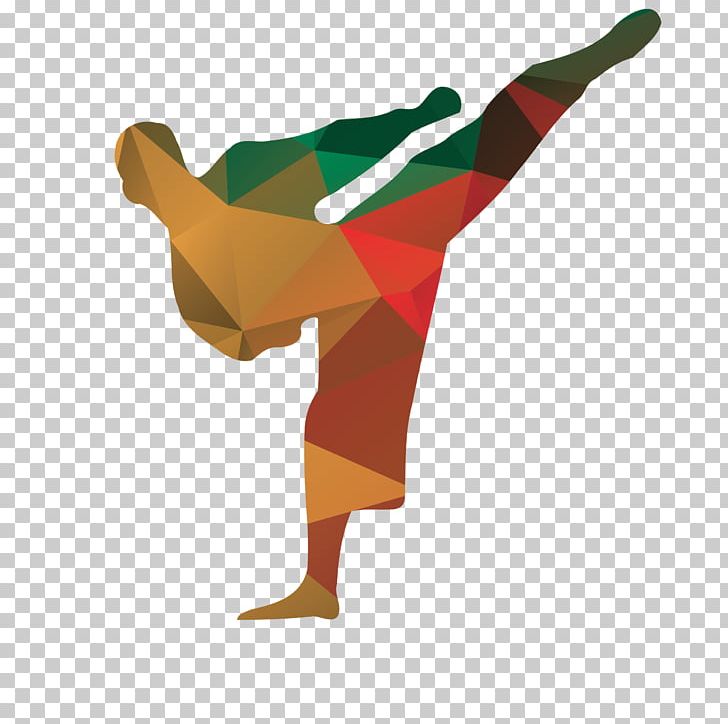 Mixed Martial Arts Karate Muay Thai PNG, Clipart, Arm, Boxing, Clip Art, Fighter, Karate Free PNG Download