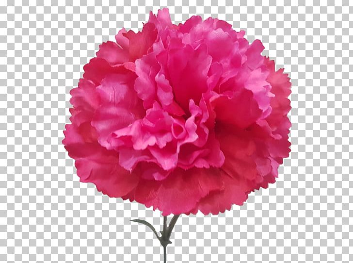 Carnation Cut Flowers Artificial Flower Plant PNG, Clipart, Artificial Flower, Carnation, Cut Flowers, Dianthus, Flower Free PNG Download