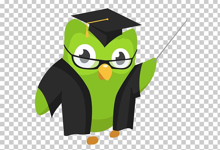 Duolingo Explanation Learning Possessive Verb PNG, Clipart, Beak, Bird, Bird Of Prey, Cartoon, Description Free PNG Download