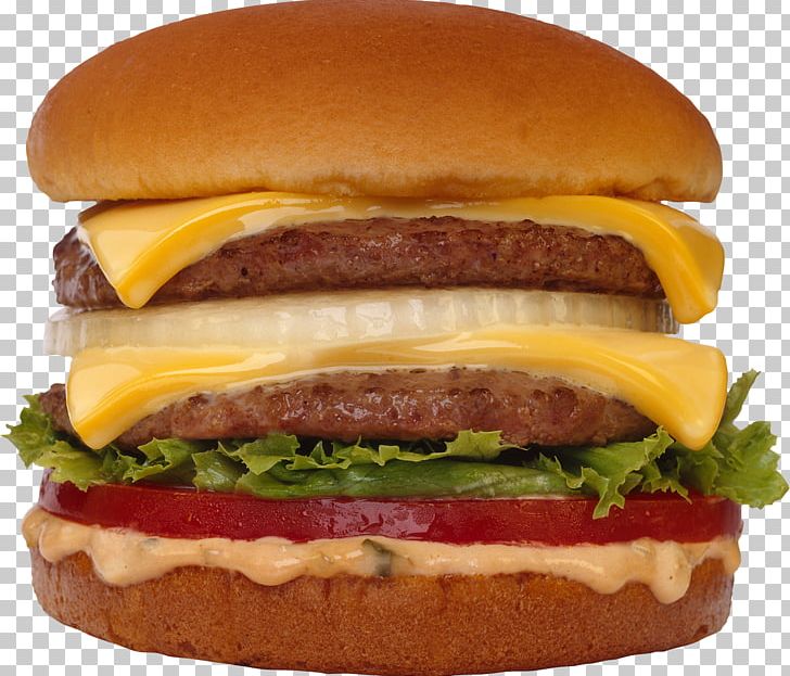 Hamburger Fast Food Cheeseburger French Fries Hot Dog PNG, Clipart, American Food, Big Mac, Breakfast Sandwich, Buffalo Burger, Butte Free PNG Download