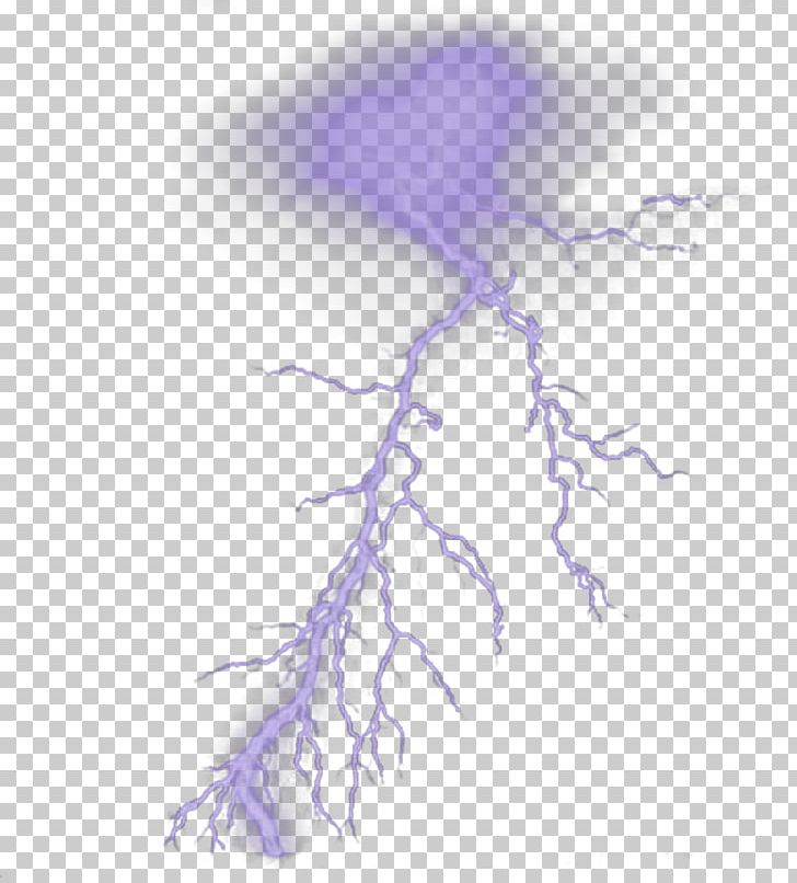 Brush Lightning Drawing PNG, Clipart, Branch, Brush, Deviantart, Drawing, Electric Current Free PNG Download