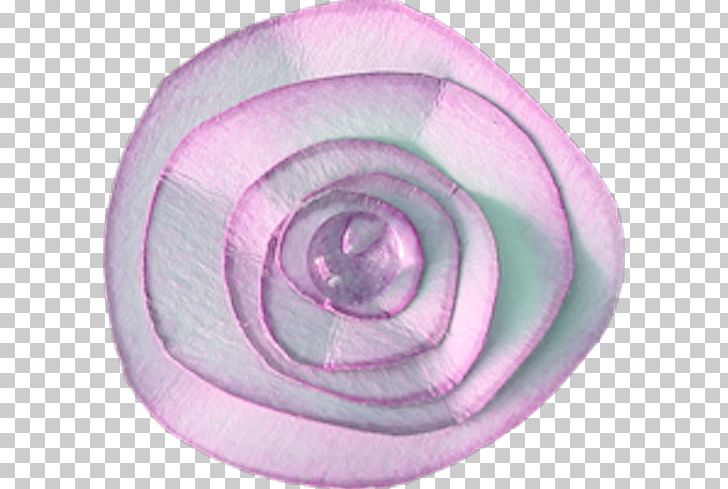 Circle Spiral PNG, Clipart, Circle, Education Science, Flower, Lilac, Paper Free PNG Download