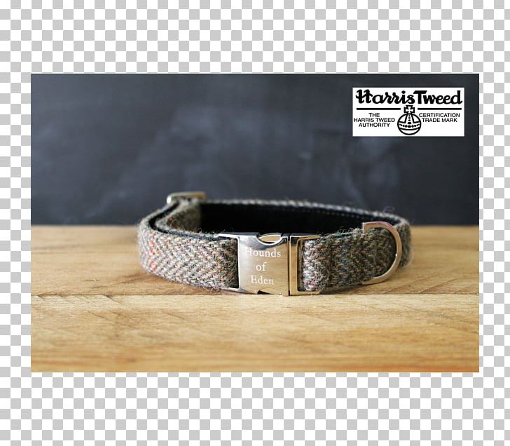 Dog Collar Belt Webbing PNG, Clipart, Belt, Belt Buckle, Belt Buckles, Bracelet, Buckle Free PNG Download