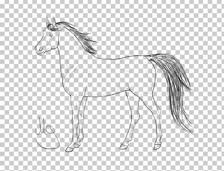 Mane Foal Halter Mustang Colt PNG, Clipart, Animal Figure, Artwork, Black And White, Bridle, Colt Free PNG Download
