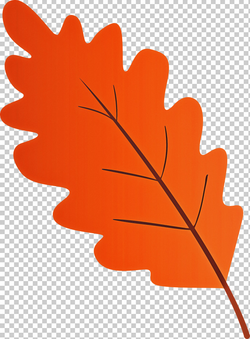Maple Leaf PNG, Clipart, Black Maple, Flower, Leaf, Maple Leaf, Orange Free PNG Download