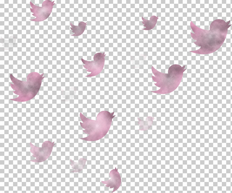 Twitter Flying Birds Birds PNG, Clipart, Birds, Butterfly, Flying Birds, Petal, Pink Free PNG Download