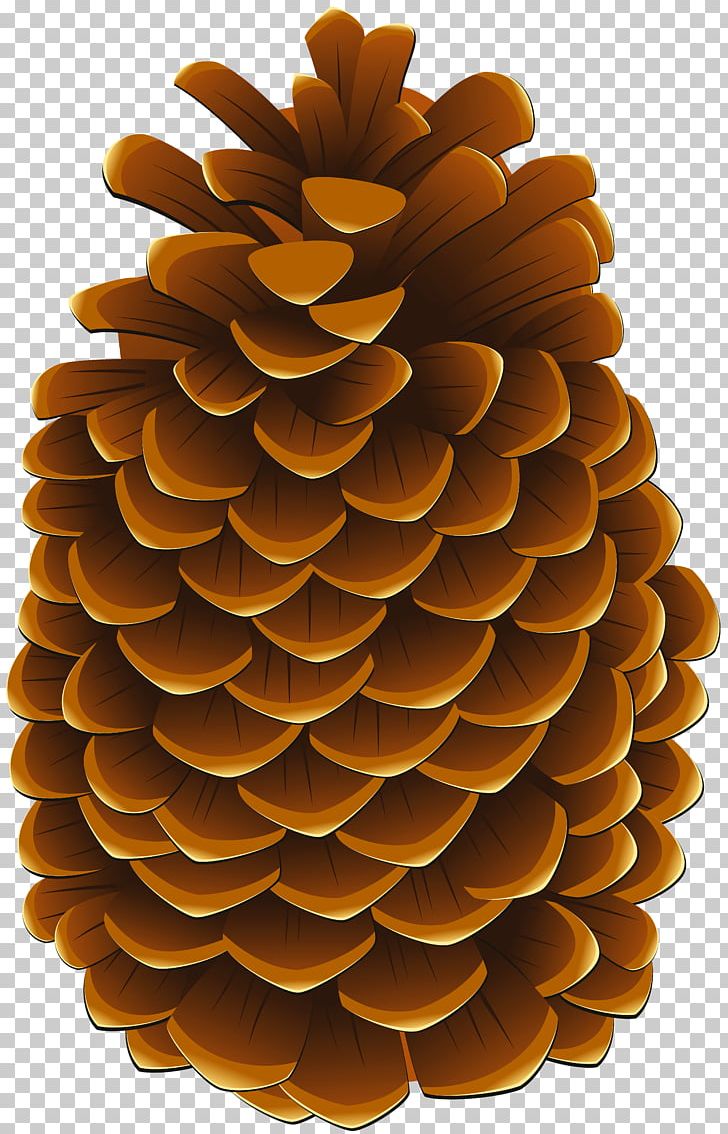 Conifer Cone Portable Network Graphics Illustration PNG, Clipart, Art, Cone, Conifer Cone, Drawing, Material Free PNG Download