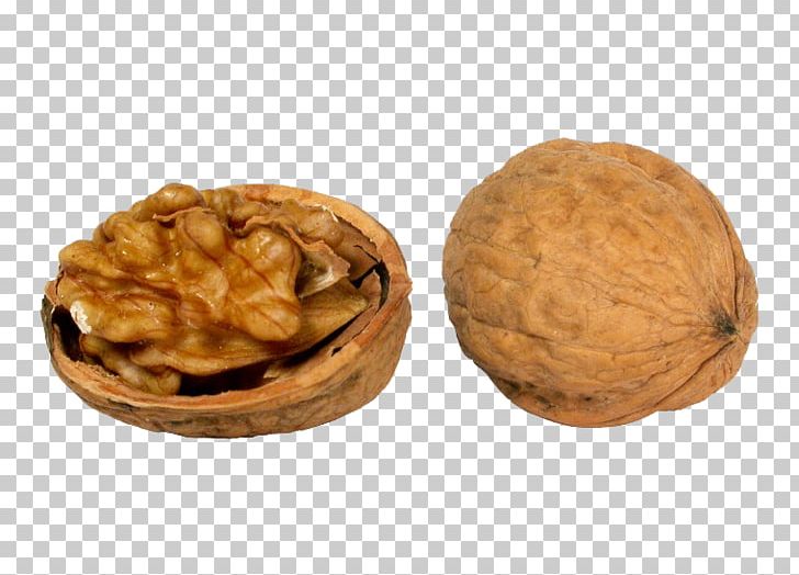 English Walnut PNG, Clipart, Almond, Dried Fruit, Encapsulated Postscript, English Walnut, Food Free PNG Download