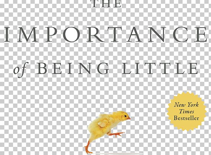 The Importance Of Being Little Amazon.com Book Einstein Never Used Flash Cards: How Our Children Really Learn--and Why They Need To Play More And Memorize Less PNG, Clipart,  Free PNG Download