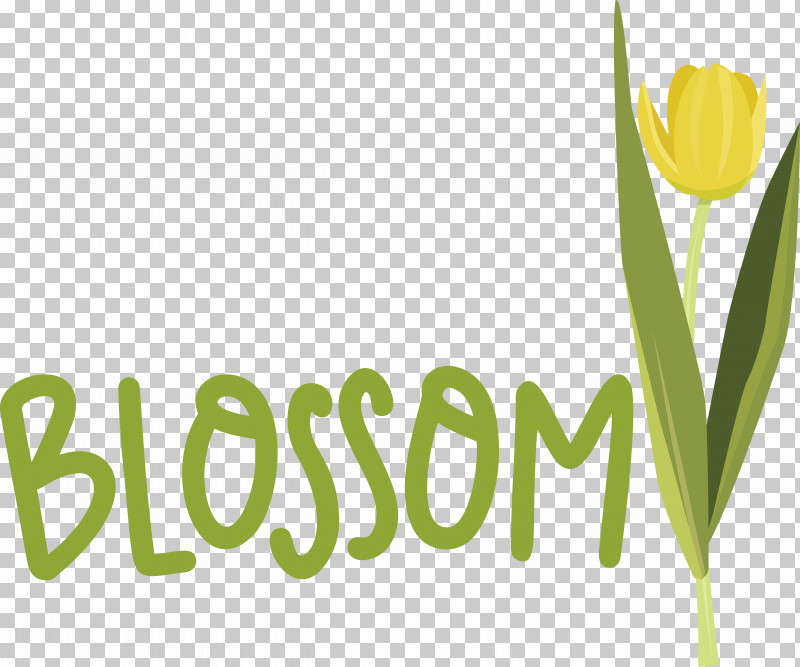 Floral Design PNG, Clipart, Biology, Floral Design, Logo, Meter, Plant Free PNG Download