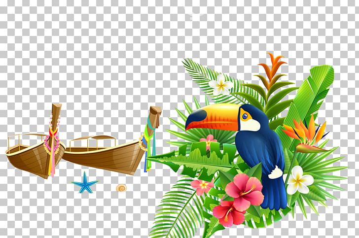 Flower Stock Illustration Tropics Illustration PNG, Clipart, Beak, Bird, Bird Of Paradise Flower, Computer Wallpaper, Decorative Free PNG Download