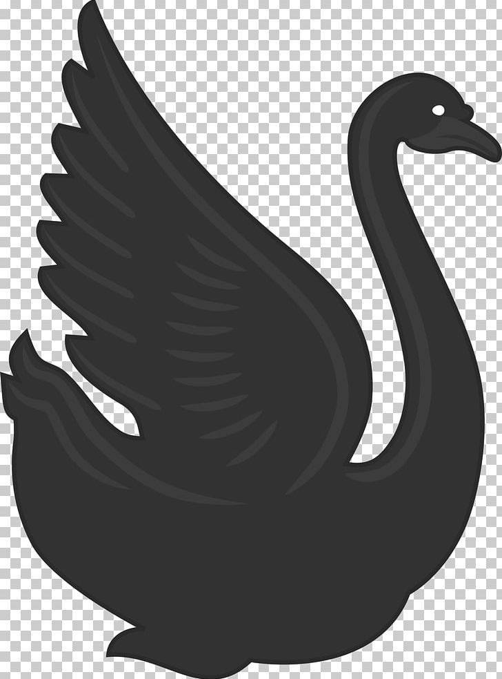 Cygnini Duck Goose PNG, Clipart, Animal, Animals, Beak, Bird, Black And White Free PNG Download