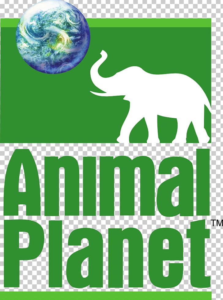 Animal Planet Television Channel PNG, Clipart, Animal, Animal Logo, Animal Planet, Animal Shelter, Area Free PNG Download