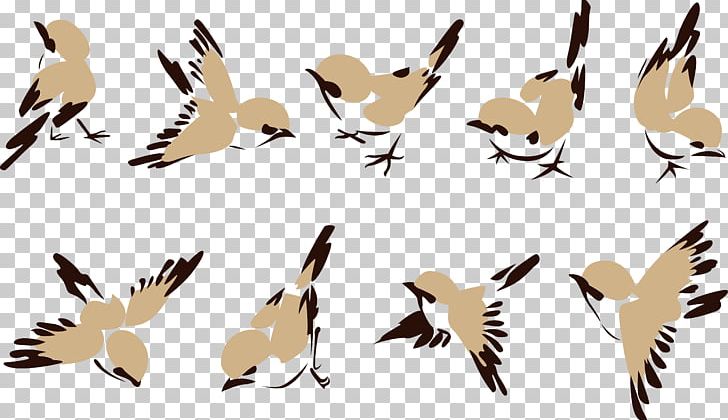 Sparrow Chart