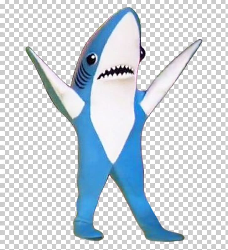 T-shirt Shark Super Bowl XLIX Halftime Show Costume PNG, Clipart, Animals, Clothing, Costume, Fish, Halftime Show Free PNG Download