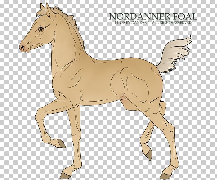 Mane Foal Stallion Mustang Pony PNG, Clipart, Bridle, Fauna, Foal, Friesian Horse, Friesian Sporthorse Free PNG Download