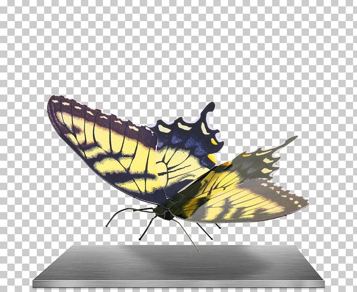 Swallowtail Butterfly Eastern Tiger Swallowtail Metal Old World Swallowtail PNG, Clipart, Arthropod, Butterflies And Moths, Butterfly, Earth, Eastern Tiger Swallowtail Free PNG Download