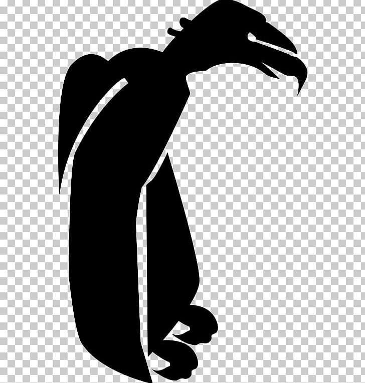 Turkey Vulture PNG, Clipart, Artwork, Beak, Bird, Black, Black And White Free PNG Download