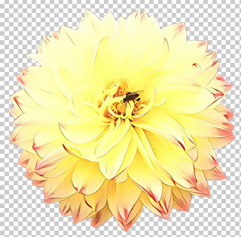 Artificial Flower PNG, Clipart, Artificial Flower, Cut Flowers, Dahlia, Flower, Petal Free PNG Download