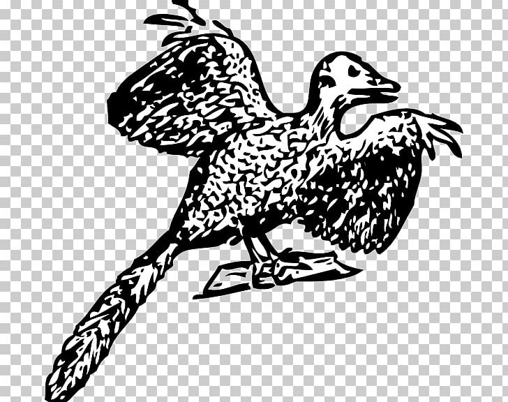 Archaeopteryx Bird Fossil Dinosaur PNG, Clipart, Animals, Archaeopteryx, Art, Beak, Bird Free PNG Download