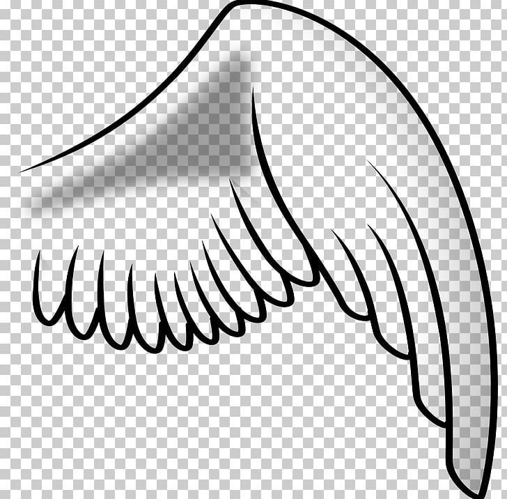 Bird Wing PNG, Clipart, Beak, Bird, Black And White, Blog, Document Free PNG Download