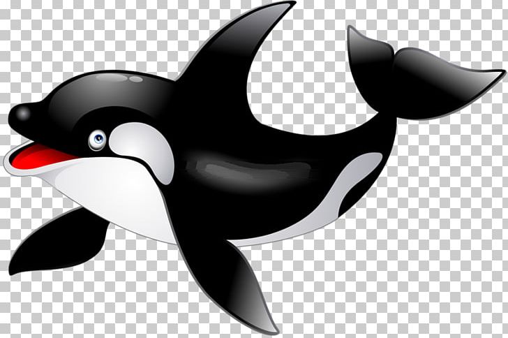 Killer Whale Dolphin PNG, Clipart, Animal, Animals, Beak, Bird, Black And White Free PNG Download