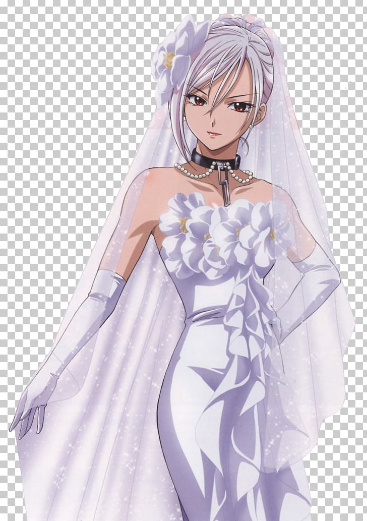 Rosario + Vampire Moka Akashiya Rosario+Vampire Vampire Knight PNG, Clipart, Anime, Black Hair, Bridal Accessory, Brown Hair, Cg Artwork Free PNG Download