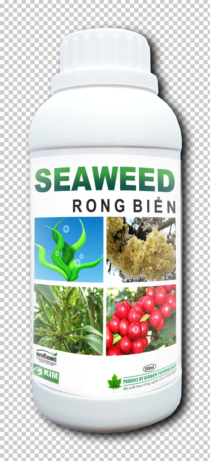 Seaweed Algae Dracontomelon Fruit Ingredient PNG, Clipart, Algae, Amino Acid, Business, Chelation, Fruit Tree Free PNG Download